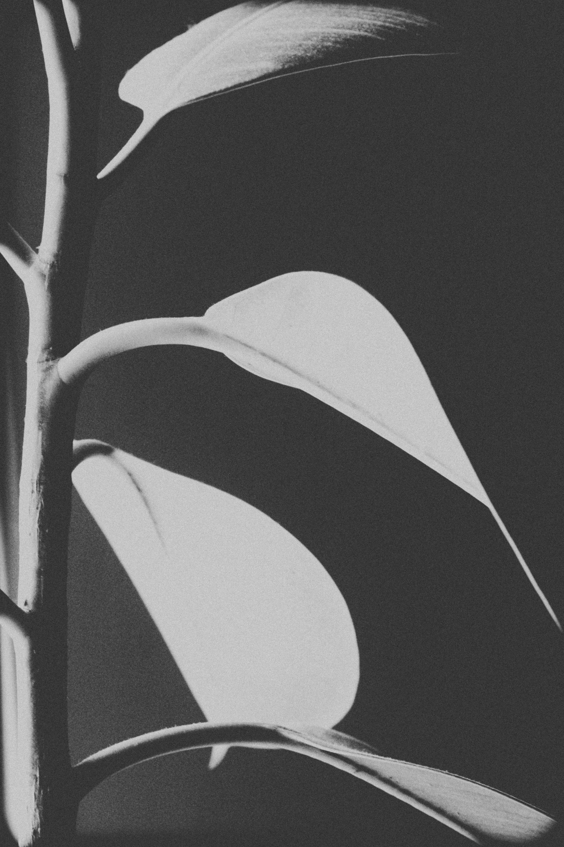 After Shave Balms & Lotions