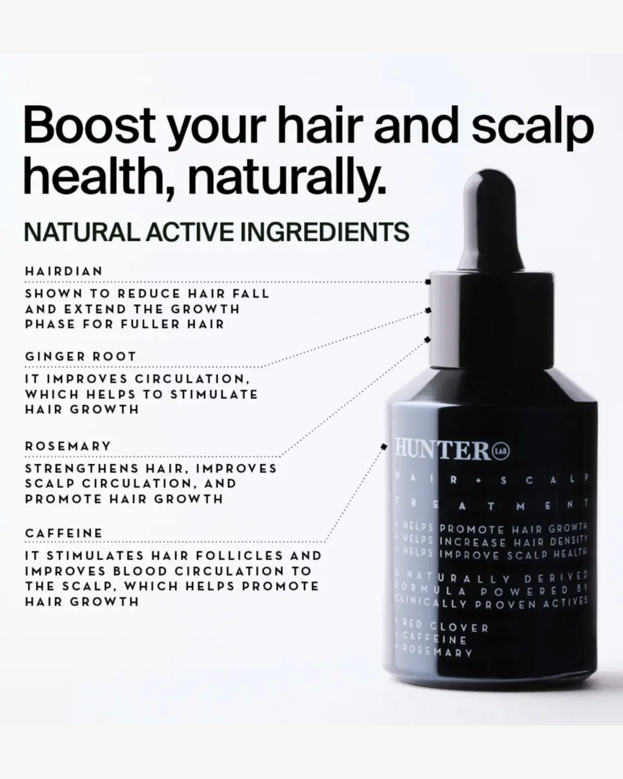 Hair + Scalp Treatment